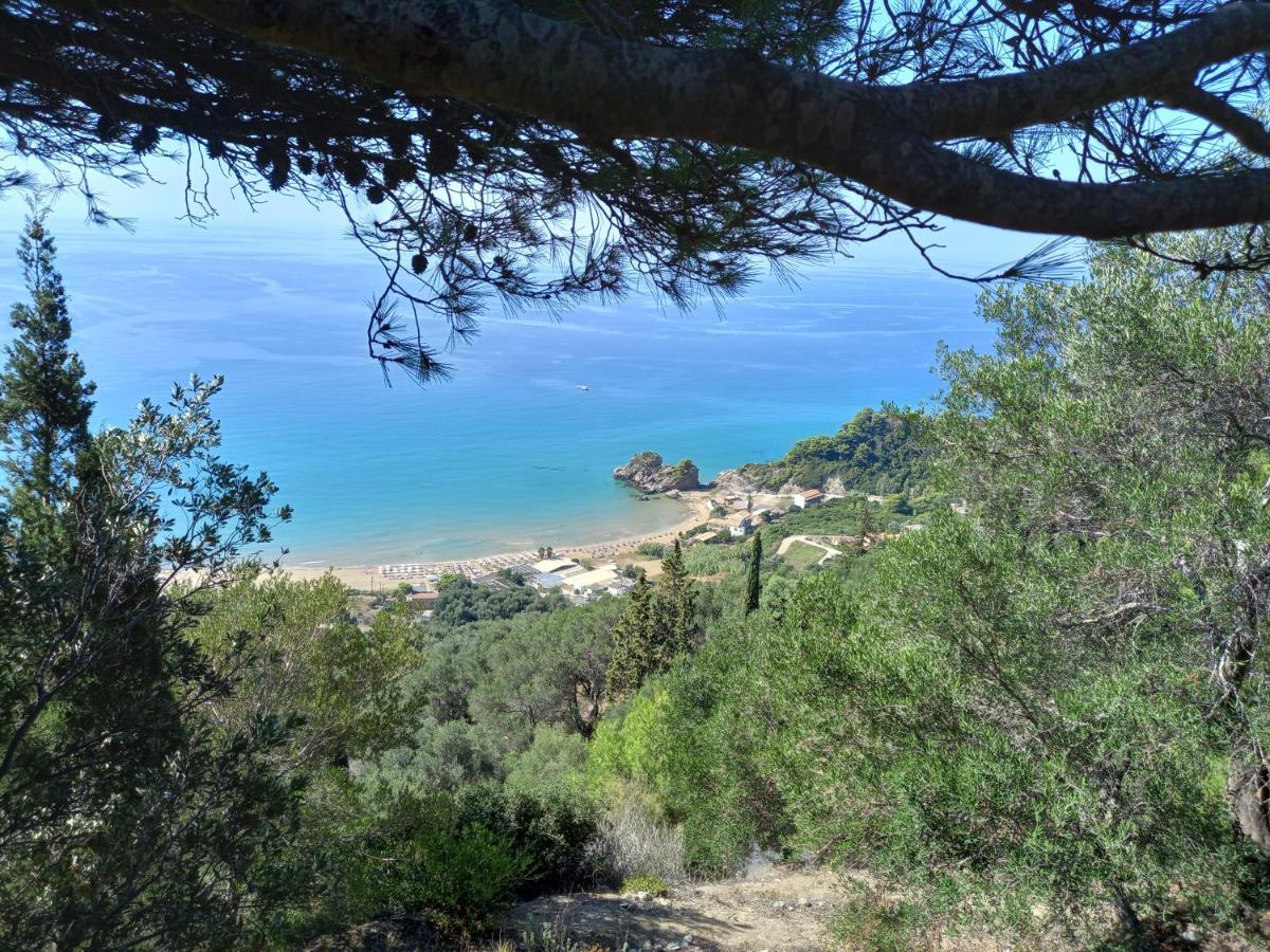 Tolis Aparts Pelekas Exterior foto